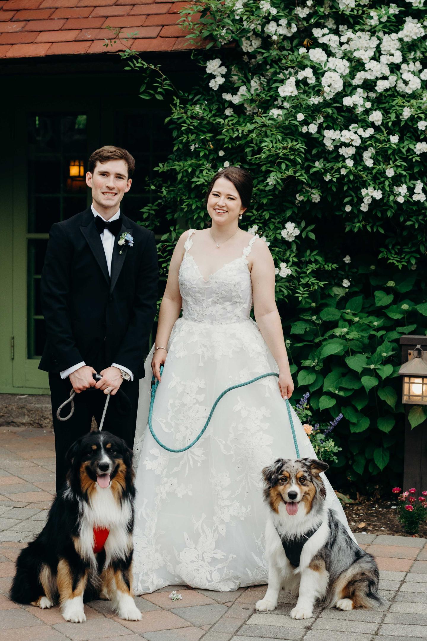 A bride and groom and their dogs