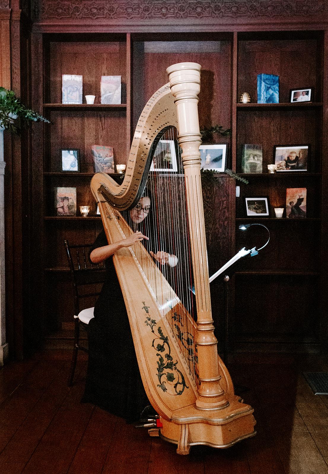 A harp player