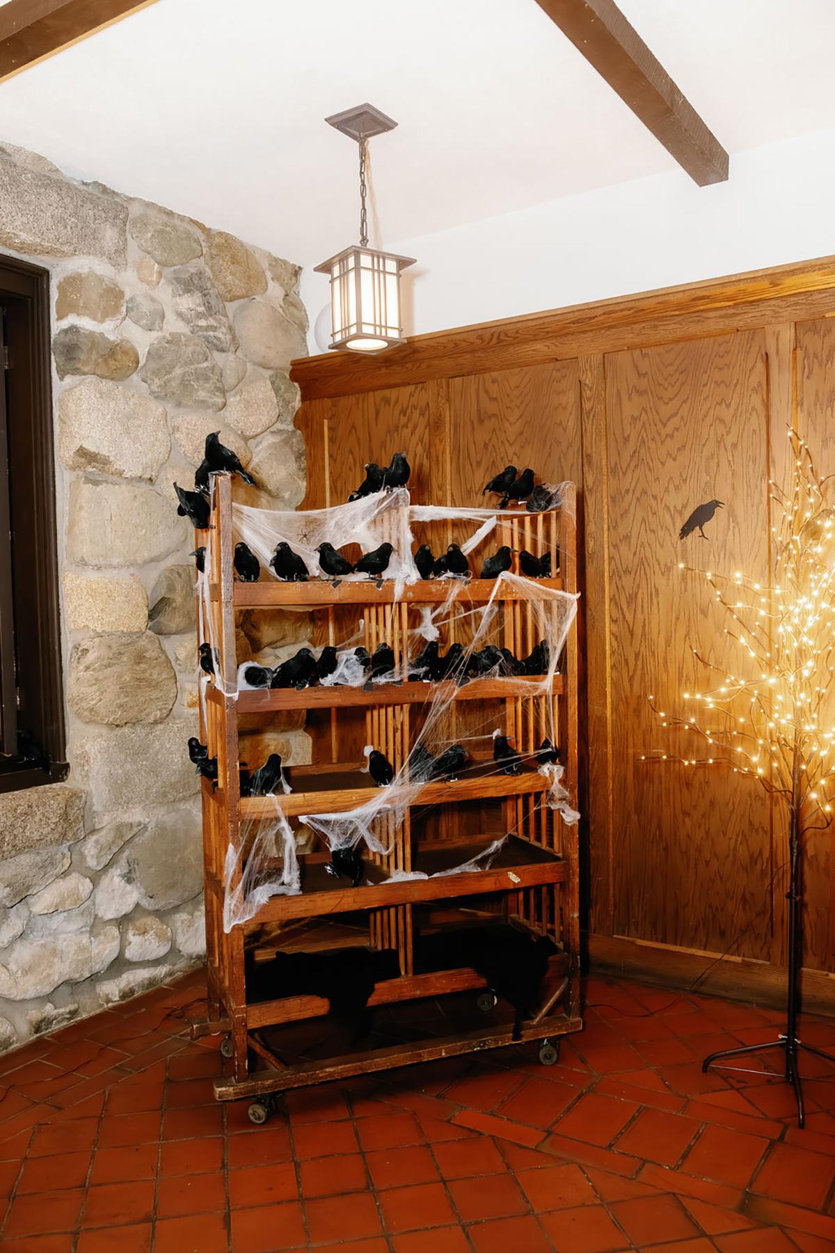 Wooden shelves with black crow decorations and cobwebs in a rustic room.