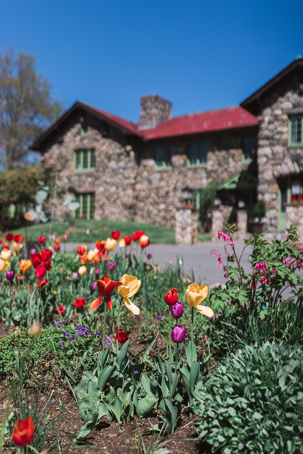 Colorful tulips bloom in front of a rustic stone house under a clear blue sky.