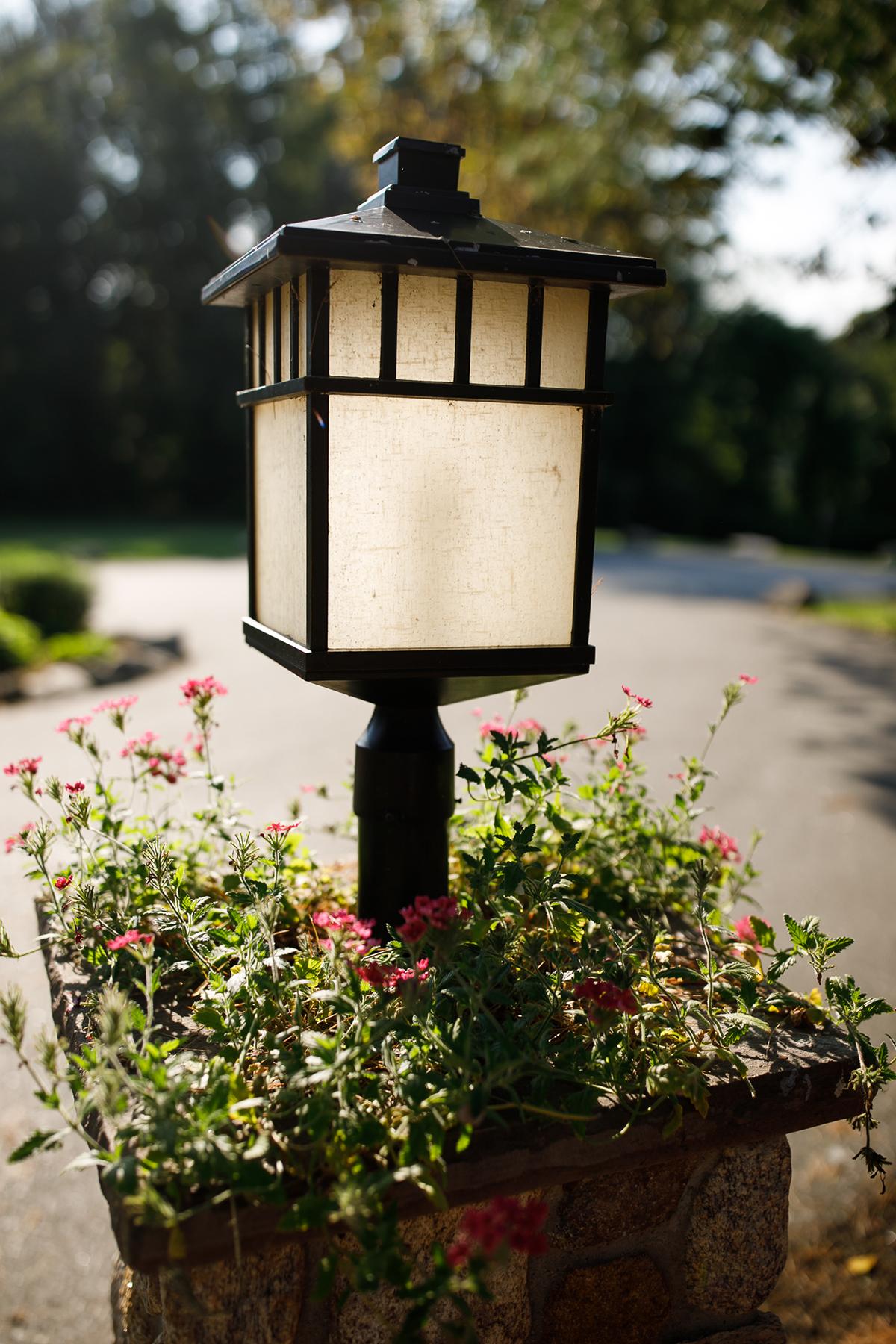 A lantern post surrounded by small red flowers in a garden setting.