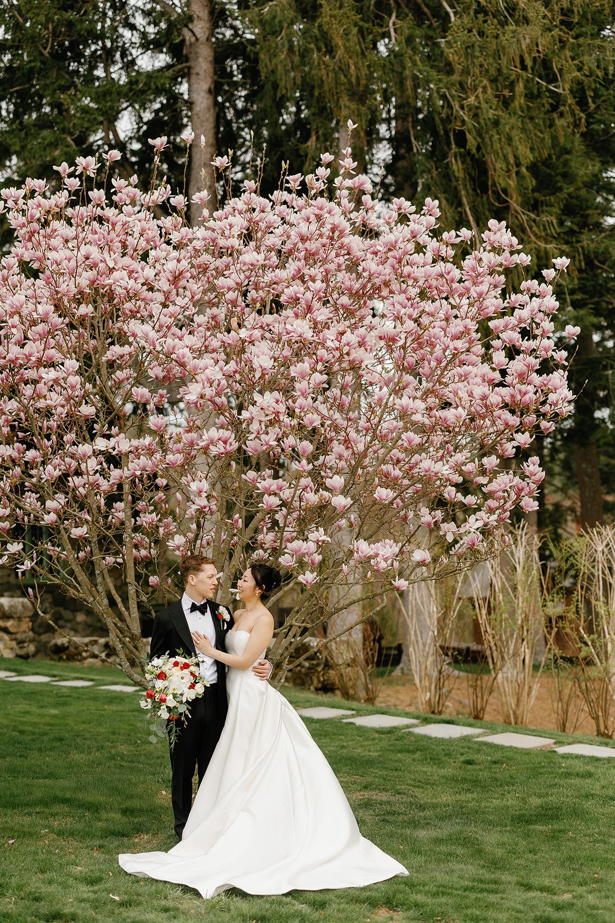 Bride and groom embracing under a blooming pink tree.