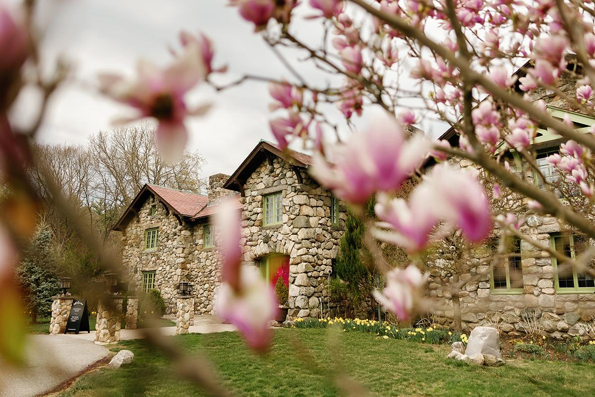 Stone house with red door, framed by blooming magnolia branches.