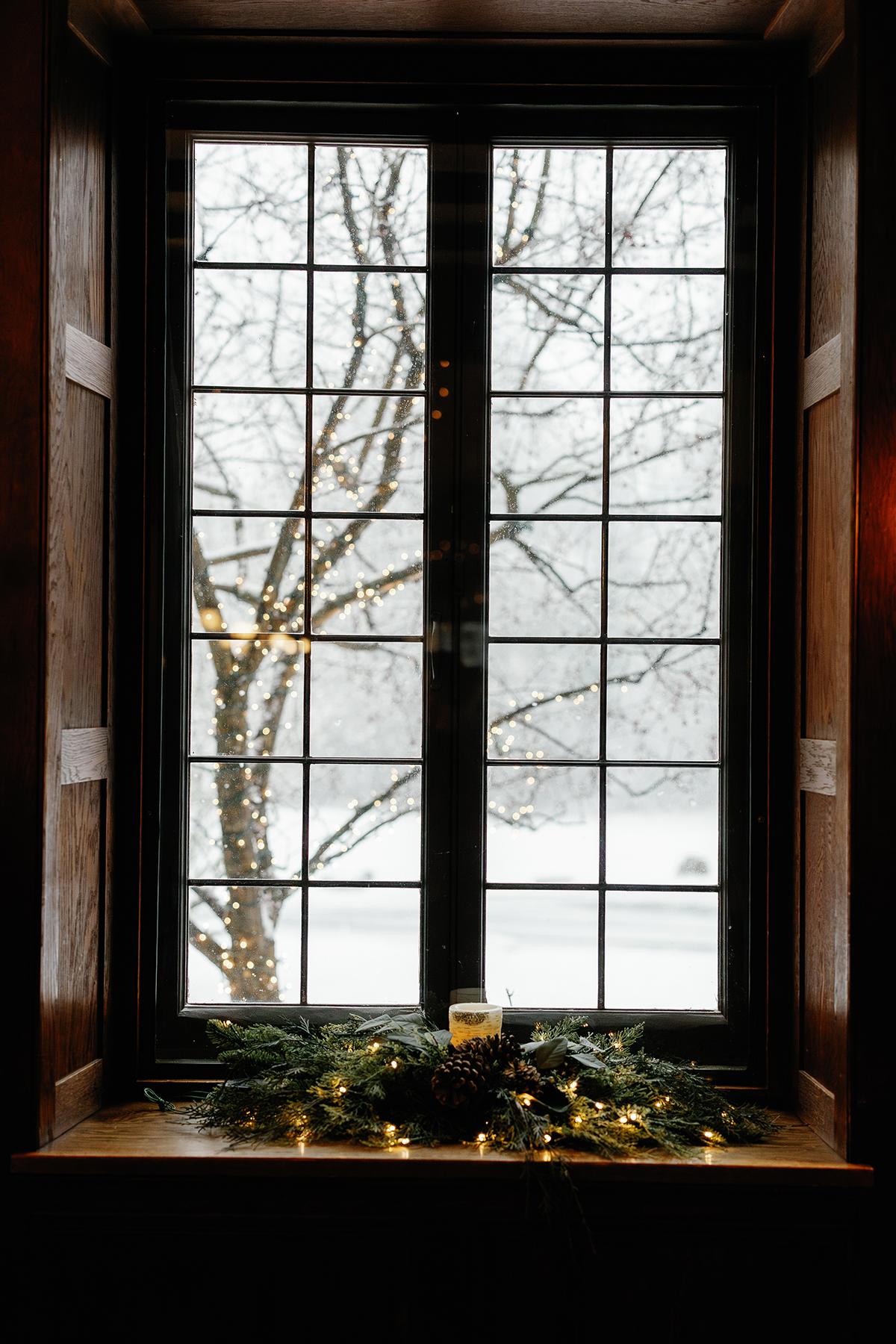 Tall window with bare tree branches outside and greenery on the sill.